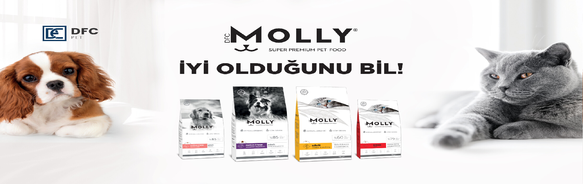 molly